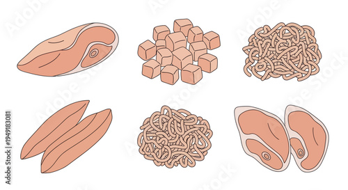 Food illustration: Chicken breast cuts, cubes, minced meat, steaks, flat style