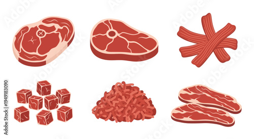 Various Cuts of Raw Beef Meat, Vector Flat Illustration