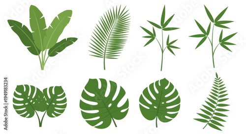 Tropical Leaves Flat Design Vector Illustration of Exotic Plants