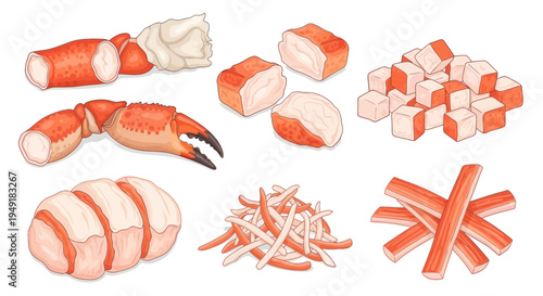 Various Imitation Crab Meat Products, Vector Food Illustration, White Background
