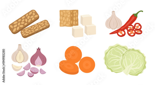 Flat Illustration of Food Ingredients: Tempeh, Tofu, Garlic, Chili, Carrot, Cabbage