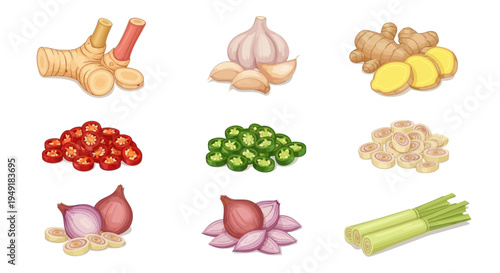 Asian Spices and Herbs Cooking Ingredients Vector Set