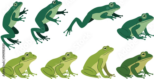 Green frog animation sequence showing various jumping poses and sitting positions in a flat illustration style