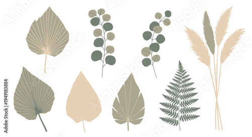 Dried Palm Leaves, Eucalyptus, Fern, Pampas Grass Flat Vector Illustration