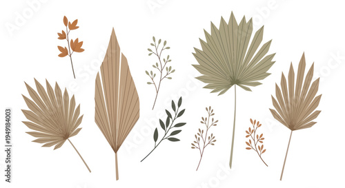 Boho Dried Palm Leaves and Twigs Vector Art, Flat Illustration