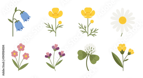 Set of 8 Flat Design Wildflowers - Bluebells, Buttercups, Daisy, Clover