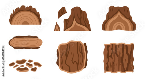 Wood texture assets, tree stump and bark, flat illustration