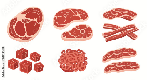 Various Raw Meat Cuts and Ground Meat Vector Illustration Flat Style