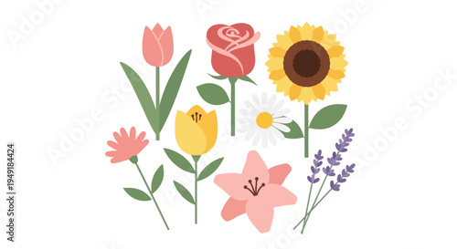 Flat vector illustration of various colorful flowers on white background