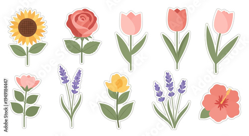 Set of Flat Style Flower Illustrations - Sunflower, Rose, Tulip, Lavender, Hibiscus