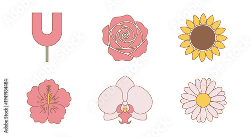 Flat Design Flowers Collection: Rose, Sunflower, Orchid, Hibiscus, Daisy, U-shape