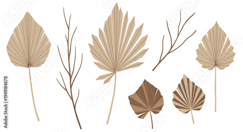 Dried Palm Leaves and Branches, Boho Style Vector Illustration