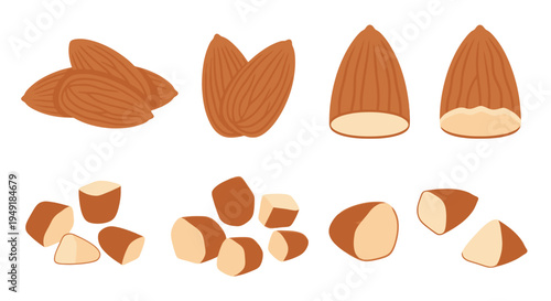 Assorted Almonds: Whole, Halved, and Sliced Flat Design Vector