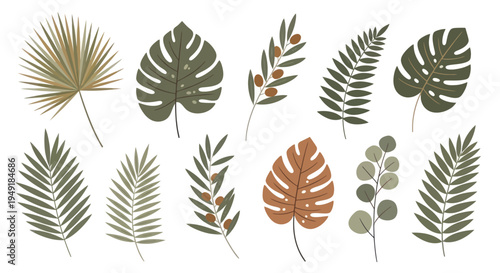 Tropical Leaves Vector Art, Flat Style Jungle Plant Elements