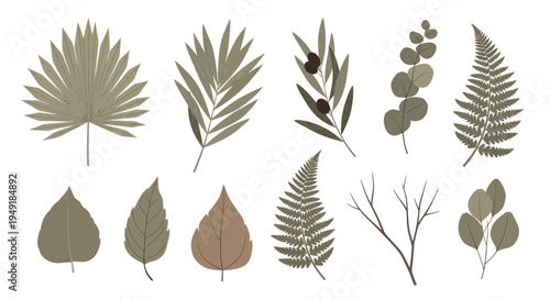 Green Botanical Leaves Vector Illustrations - Flat Design Style