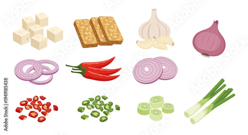 Flat Design Ingredients: Tofu, Tempeh, Chilis, Onions, Garlic, Scallions