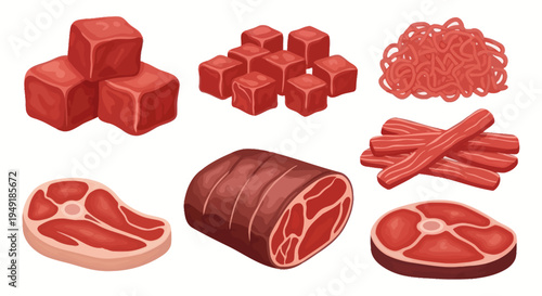 Vector Illustration of Various Raw Meat Cuts and Styles