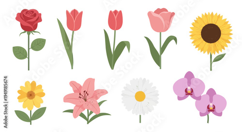 Flat Design Assortment of Colorful Flowers - Rose, Tulip, Sunflower, Lily, Daisy, Orchid