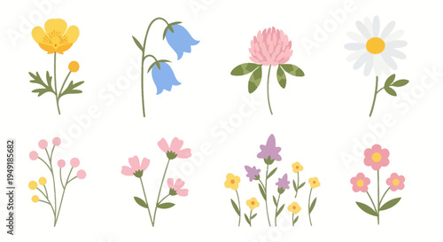 Flat Style Vector Illustrations of Assorted Wildflowers