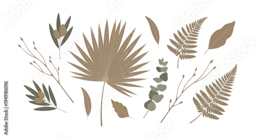 Boho dried palm leaf, fern, olive branch, eucalyptus and twig vector