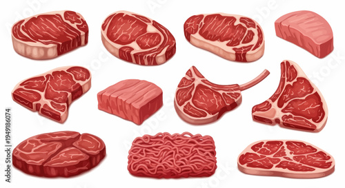 Various Raw Meat Cuts Collection - Steak, Mince, Ribs - Realistic Vector