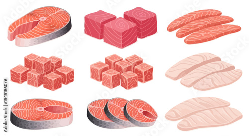 Vector Set of Raw Salmon Cuts: Steaks, Cubes, and Fillets