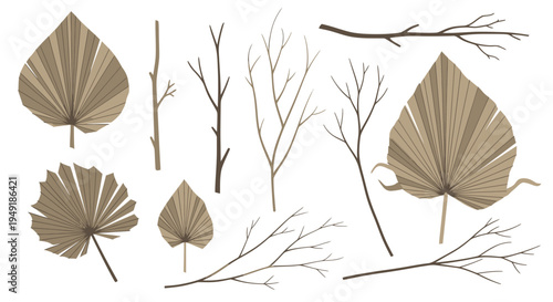 Dried Palm Leaves and Branches Vector Art - Nature Decor Style