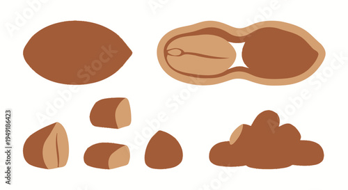 Flat Illustration of Peanuts: Whole, Shelled, and Split Kernels