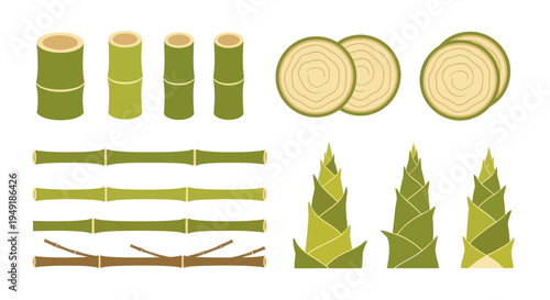 Flat design bamboo set: stalks, cross-sections, and shoots