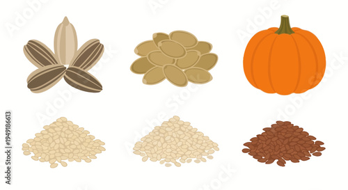 Flat Design Vector Set of Various Seeds and Pumpkin
