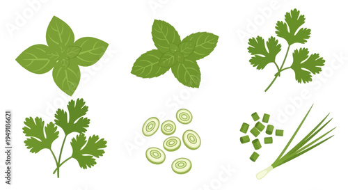 Flat Design Illustration of Fresh Herbs and Vegetables for Cooking