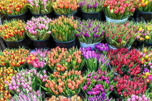 Fiori recisi, mazzi di tulipani, in vendita al mercato