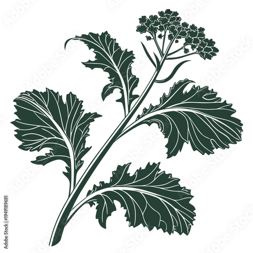  mustard greens silhouette on white background