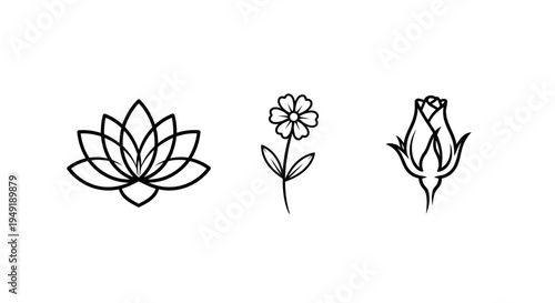 Set of three simple floral outline icons