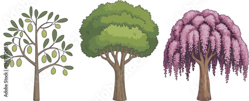 Collection of different trees including olive tree, green forest tree and pink wisteria blossom tree isolated on background, botanical nature illustration for landscape design