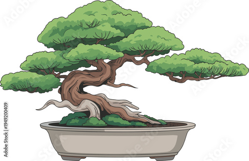 Stylized bonsai tree illustration with twisted trunk, exposed roots, dense green foliage, traditional shallow pot, representing patience, discipline