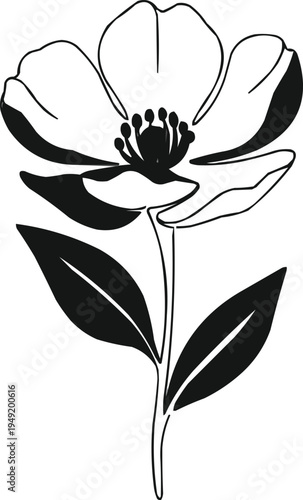 The composition consists of a flower with four or five wide petals, a cluster of stamens, a narrow curved stem, and two large elliptical leaves at the bottom, with a bud on the right.