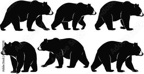 Black bear silhouette collection, grizzly walking vector set, wild animal nature graphics, forest wildlife silhouettes, predator animal outline, ursus americanus icons.
