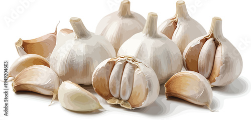 Garlic Bulbs and Cloves on White Background