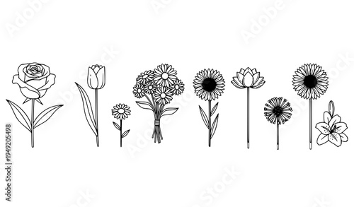 Botanical flower outline icons rose tulip lily sunflower vector set