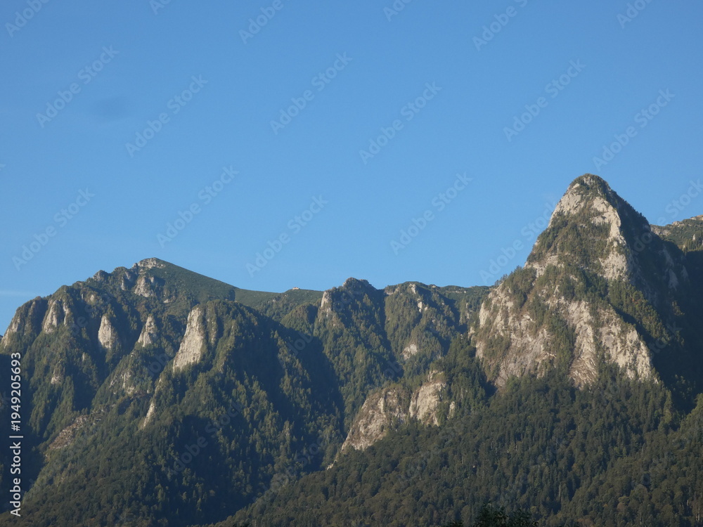 Obraz premium Rocky Peaks of the Carpathian Mountains Under Clear Blue Sky