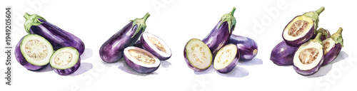 Simple cute illustration, Beautiful sliced eggplant set painting design. Hand-painted style, vectorized, vector set available in EPS Simple Hand-painted watercolor style. Adobe Illustrator Artwork