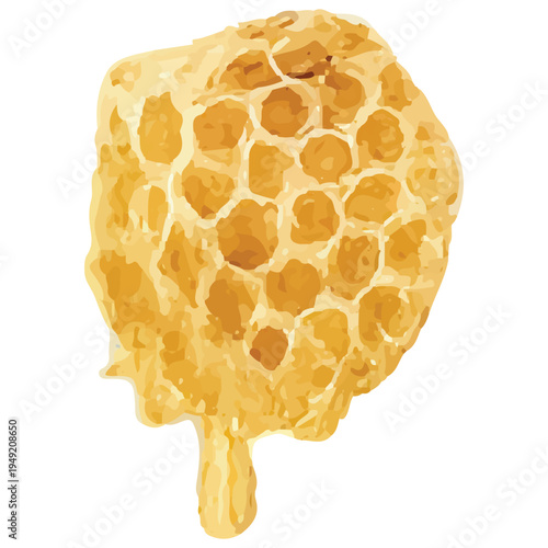 Honeycomb Dripping Honey Illustration Natural Beeswax Apiary Honey Production
