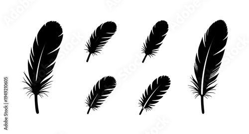 feather, feathers, plume, plumes, quill, quills, wing, wings, bird, avian, nature, light, soft, fluffy, floating, falling, fly, flying, silhouette, silhouettes, shadow, black, outline, shape, icon, sy
