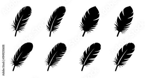 feather, feathers, plume, plumes, quill, quills, wing, wings, bird, avian, nature, light, soft, fluffy, floating, falling, fly, flying, silhouette, silhouettes, shadow, black, outline, shape, icon, sy