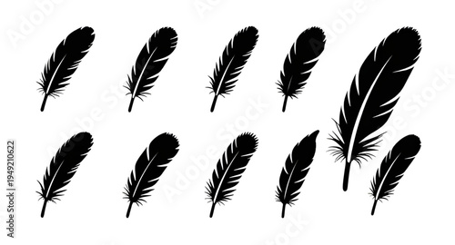 feather, feathers, plume, plumes, quill, quills, wing, wings, bird, avian, nature, light, soft, fluffy, floating, falling, fly, flying, silhouette, silhouettes, shadow, black, outline, shape, icon, sy