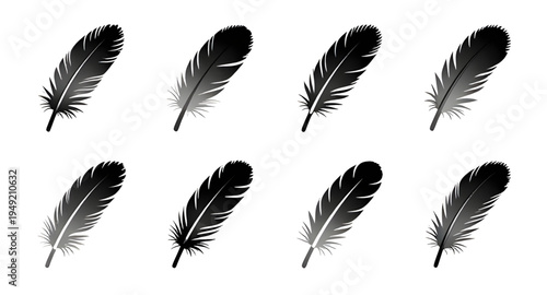 feather, feathers, plume, plumes, quill, quills, wing, wings, bird, avian, nature, light, soft, fluffy, floating, falling, fly, flying, silhouette, silhouettes, shadow, black, outline, shape, icon, sy