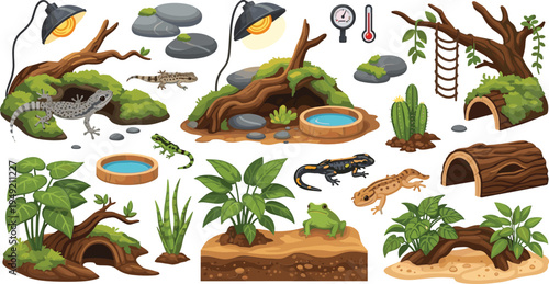 Reptile Terrarium Habitat Elements Set with Lizards Frog Salamander Plants Rocks Water Bowl Wooden Shelter Vector Illustration