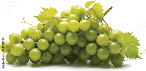 Green Grapes Bunch with Leaves on White Background