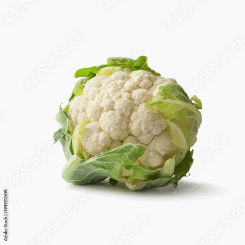 cauliflower isolated on white